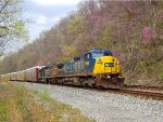 CSX 7369 and 8365
